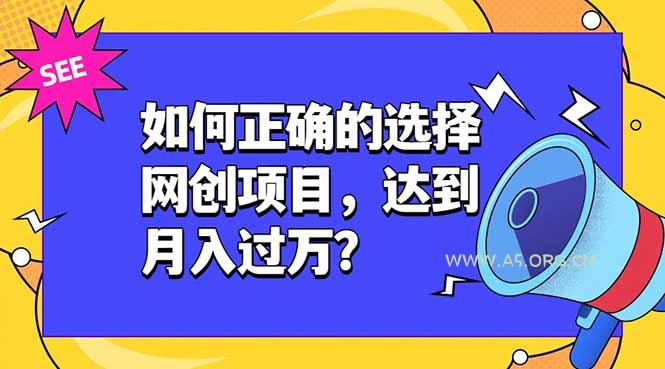 如何正确的选择网创项目,达到月入过万?,本课程教你正确选择项目。-小红泡