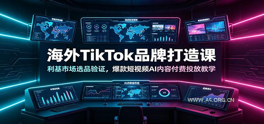 海外TikTok品牌打造课：利基市场选品验证，爆款短视频AI内容付费投放教学-小红泡