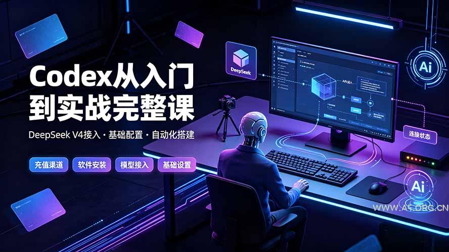 Codex从入门到实战完整课|充值·安装·接入DeepSeek,记忆·插件·Skill·CLI·MCP全拆解-小红泡