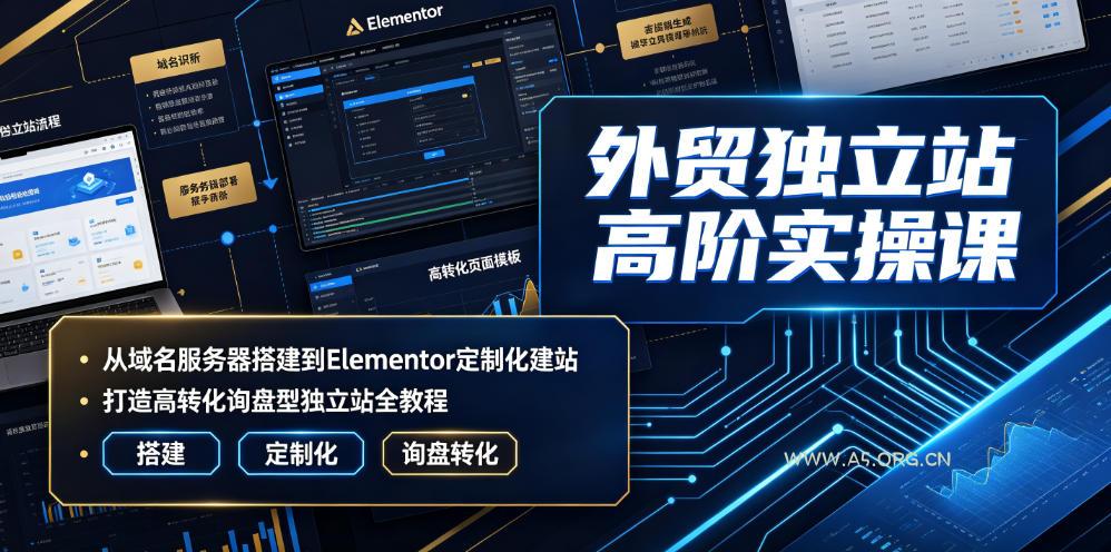 外贸独立站高阶实操课|从域名服务器搭建到Elementor定制化建站,打造高转化询盘型独立站全教程-小红泡