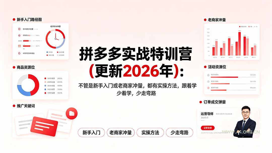 拼多多实战特训营(更新2026年-小红泡