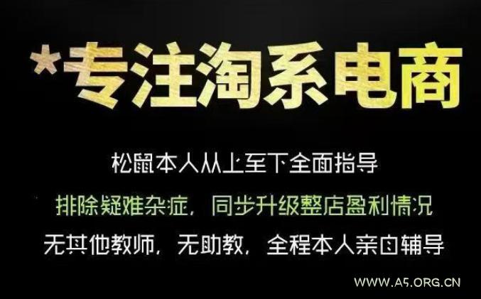 松鼠会电商VIP课程,从基础布局到高阶优化,助你掌握淘宝运营逻辑,提升店铺流量与转化(更新0711)-小红泡