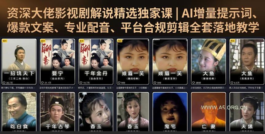 资深大佬影视剧解说精选独家课|AI增量提示词、爆款文案、专业配音、平台合规剪辑全套落地教学-小红泡