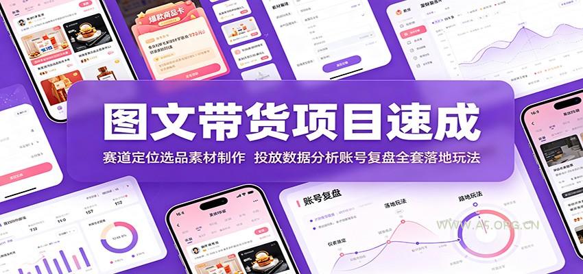 图文带货项目速成:赛道定位选品素材制作,投放数据分析账号复盘全套落地玩法-小红泡