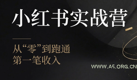 金金老师·小红书实战营-小红泡
