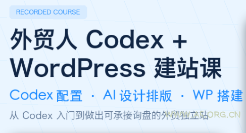 外贸人Codex + WordPress建站课-小红泡