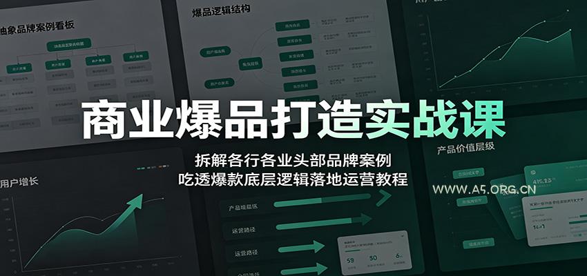 商业爆品打造实战课:拆解各行各业头部品牌案例,吃透爆款底层逻辑落地运营教程-小红泡