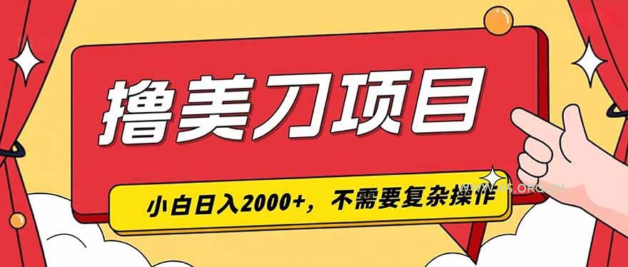 撸美刀，单日收入2000+，小白可做-小红泡