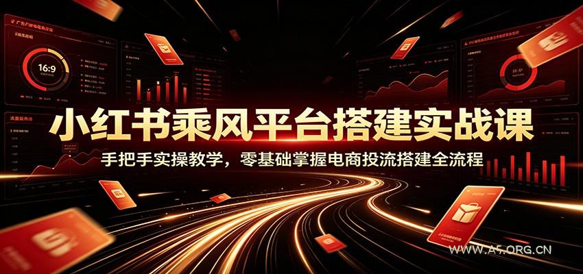 小红书乘风平台搭建实战课:手把手实操教学,零基础掌握电商投流搭建全流程-小红泡