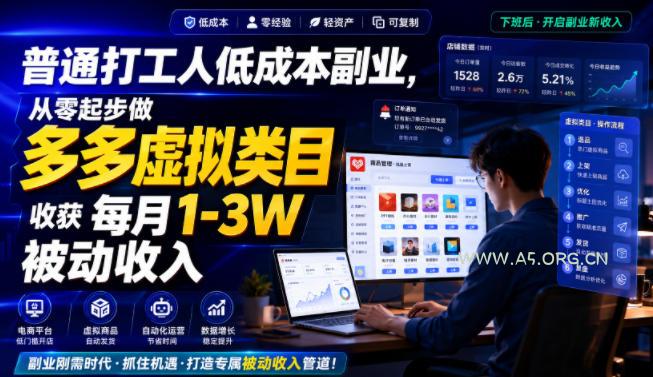 普通打工人低成本副业，从零起步做多多虚拟类目，收获每月1-3W被动收入【揭秘】-小红泡