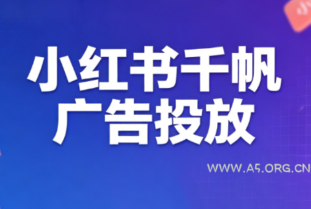 王烽哥·小红书千帆广告投放课程-小红泡