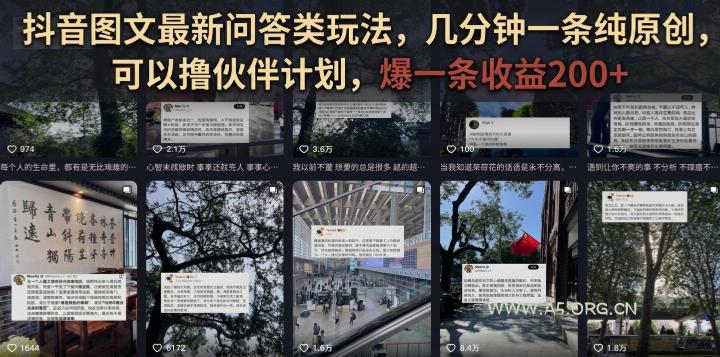 抖音图文最新问答类玩法，几分钟一条纯原创，可以撸伙伴计划，爆一条收益200+-小红泡