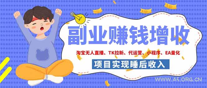 2026年多个真实落地副业项目,手把手带你搭建被动收入管道(淘宝无人直播、海外TK拉新…-小红泡