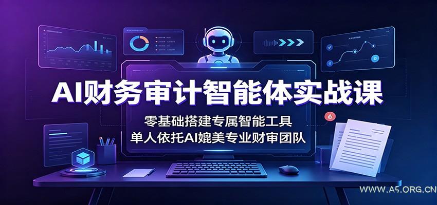 AI财务审计智能体实战课:零基础搭建专属智能工具,单人依托AI媲美专业财审团队-小红泡