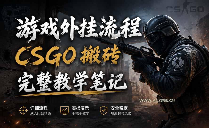 游戏挂机全流程笔记分享,CSGO游戏搬砖,小白看了当天学会见收益-小红泡