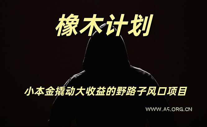 橡木计划,小投入撬动高回报的风口野路子项目,一天投入2小时左右-小红泡
