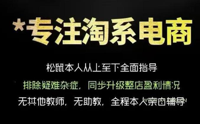 松鼠会电商VIP课程,从基础布局到高阶优化,助你掌握淘宝运营逻辑,提升店铺流量与转化(更新0809)-小红泡