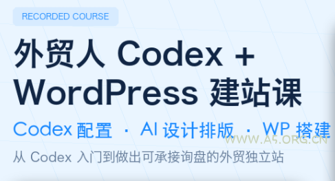 大卫·外贸人Codex + WordPress建站课(更新8月)-小红泡