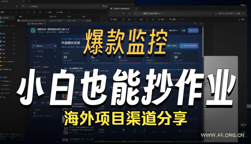 抖音爆款数据监控工具_海外网盘拉新渠道-小红泡