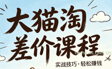大猫淘差价课程(更新8月)-小红泡