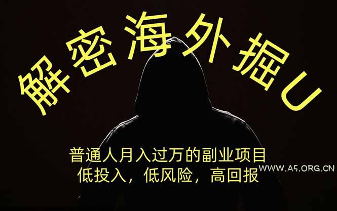 解密海外掘U,普通人月入过万的副业项目,低投入、低风险高回报,没有之一-小红泡