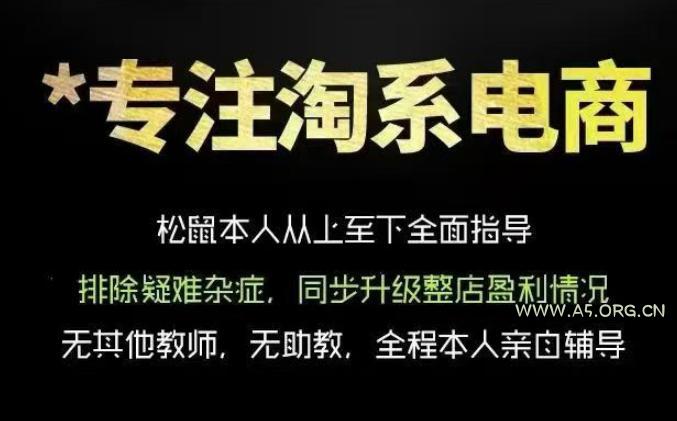 松鼠会电商VIP课程,从基础布局到高阶优化,助你掌握淘宝运营逻辑,提升店铺流量与转化(更新0815)-小红泡