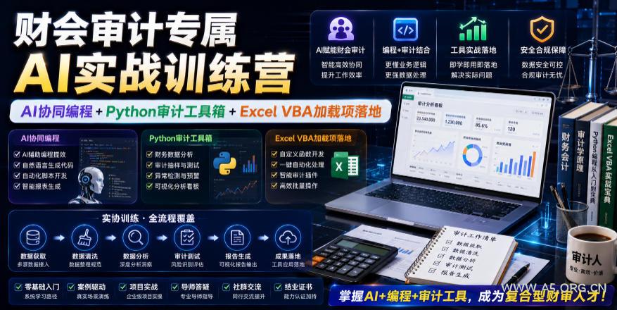 财会审计专属AI实战训练营|AI协同编程+Python审计工具箱+Excel VBA加载项落地(更新0816)-小红泡