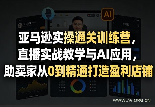 亚马逊实操通关训练营，直播实战教学与AI应用，助卖家从0到精通打造盈利店铺(更新8月17日)-小红泡