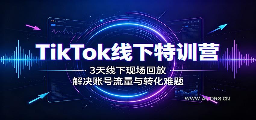 TikTok线下特训营：3天线下现场回放，解决账号流量与转化难题-小红泡
