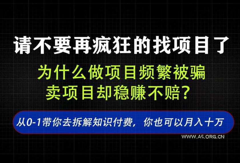找项目？别傻了！卖项目才是真的一本万利！看完你全都懂了【揭秘】-小红泡