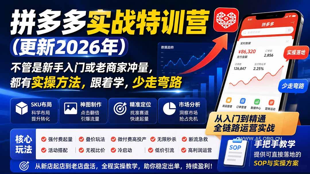 拼多多实战特训营(更新26年0822-小红泡