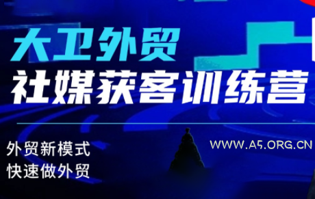 大卫老师·外贸社媒获客独家训练营(更新8月)-小红泡