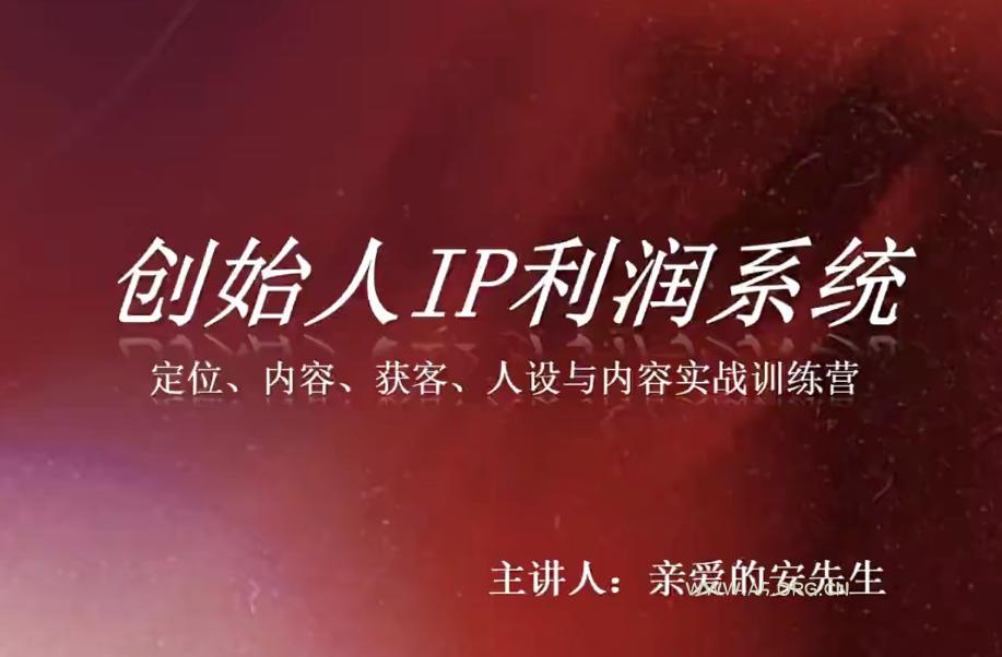 创始人IP利润系统8月训练营,定位、内容、获客、人设与内容实战训练营-小红泡