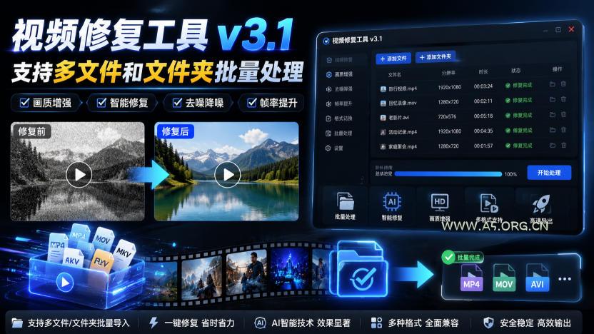 视频修复工具v3.1,支持多文件和文件夹批量处理-小红泡
