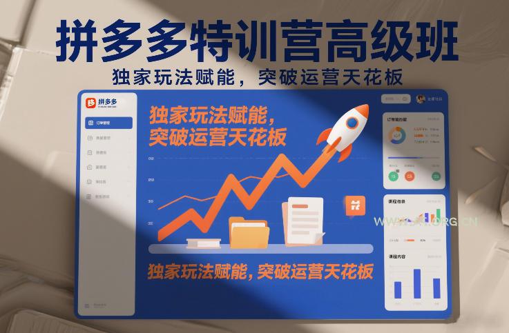 拼多多特训营高阶班,独家玩法赋能,突破运营天花板(更新260827)-小红泡
