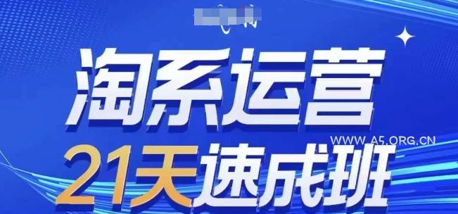 淘系运营21天速成班,0基础轻松搞定淘系运营,不做假把式,快速复制落地(更新26年8月)-小红泡