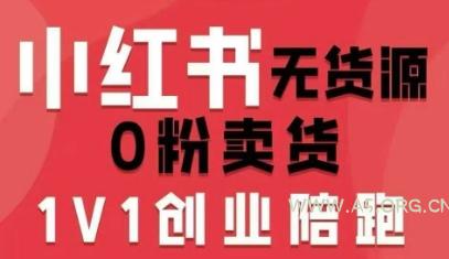 小红书无货源0粉电商课,开店准备、选品策略、笔记撰写、视频剪辑、数据分析、账号打造、资料文档(更新26年8月30日)-小红泡