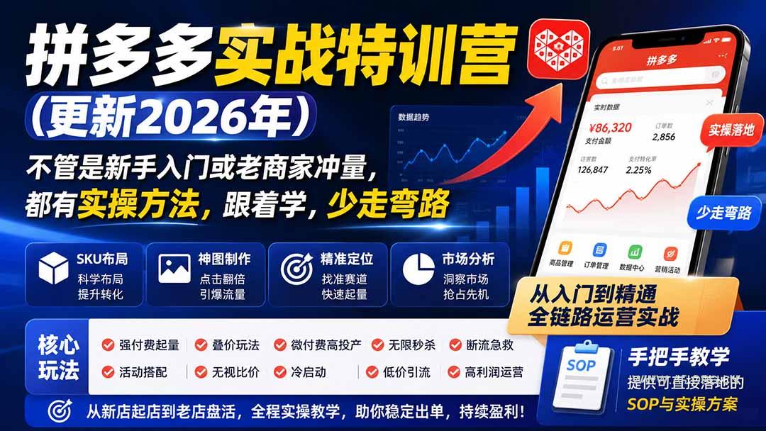 拼多多实战特训营(更新26年0831-小红泡