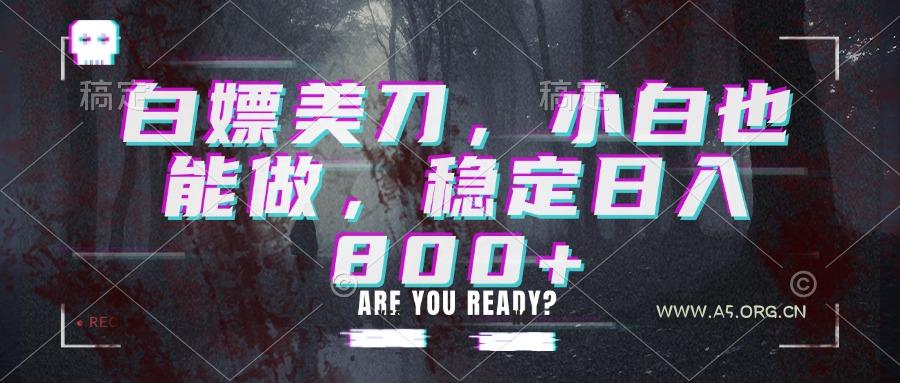 白嫖美刀，小白也能做，稳定日入800+-小红泡