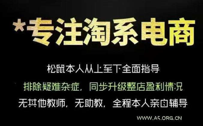 松鼠会电商VIP课程,从基础布局到高阶优化,助你掌握淘宝运营逻辑,提升店铺流量与转化(更新0901)-小红泡