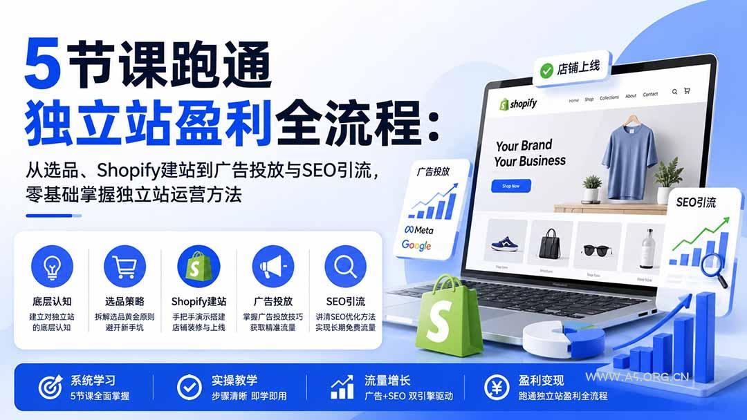5节课跑通独立站盈利全流程:从选品、Shopify建站到广告投放与SEO引流,零基础掌握独立站运营方法-小红泡