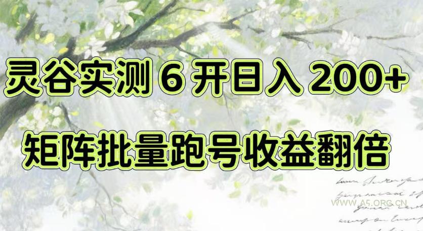 一台电脑就能做!灵谷实测6开日入200+,矩阵批量跑号收益翻倍【揭秘】-小红泡
