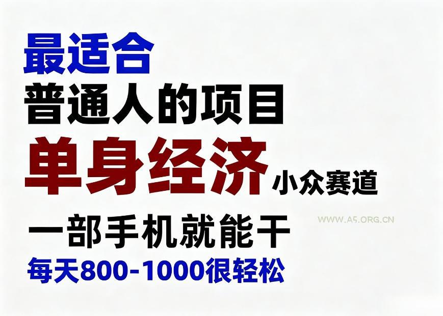 身经济小众赛道,一部手机就能干,每天搞个800-1000很轻松,最适合普通人的项目【揭秘】-小红泡