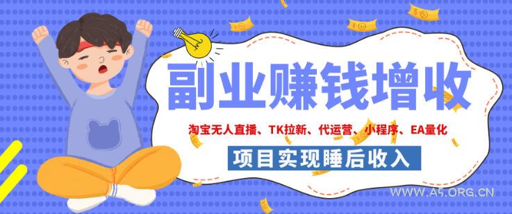 2026年多个真实落地副业项目，手把手带你搭建被动收入管道(淘宝无人直播、海外TK拉新、最新最全代运营、CSGO饰品交易、EA黄金量化、去水印小程序……)【揭秘】-小红泡