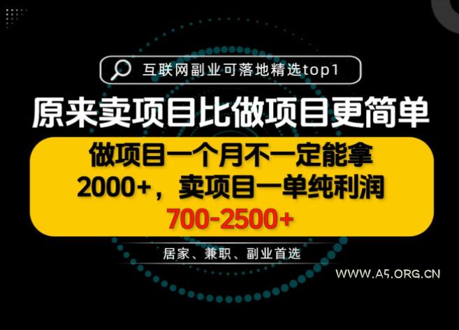 一单利润700-2.5K+,为什么我们要卖项目而不是做项目,我们普通人应该怎样开始?【揭秘】-小红泡