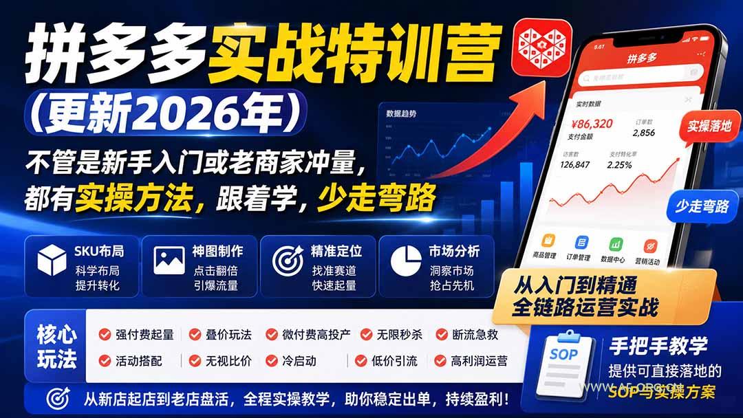 拼多多实战特训营(更新0915-小红泡