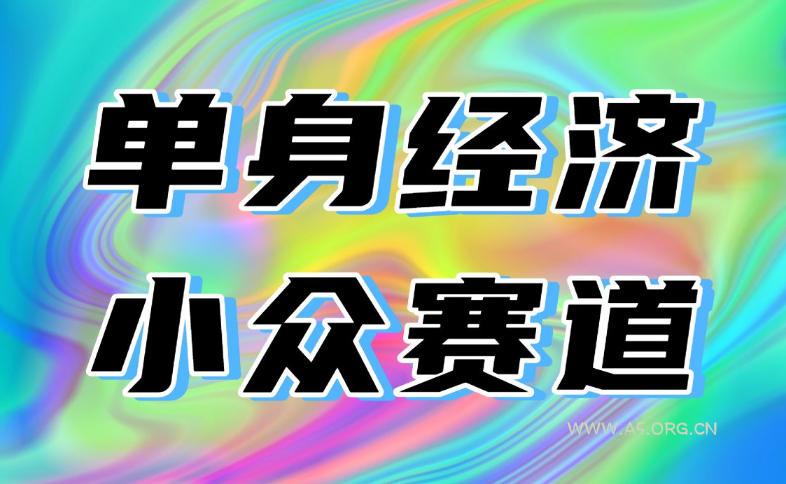 最适合普通人的项目，拿出执行力每天800-1k+，全程可落地，普通人随时入局【揭秘】-小红泡
