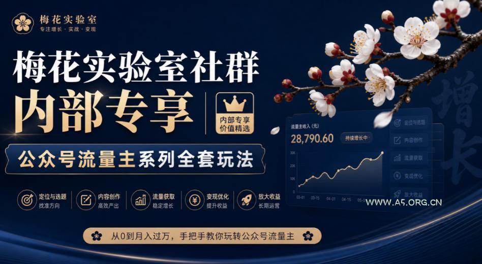 梅花实验室社群内部专享-公众号流量主系列全套玩法-小红泡