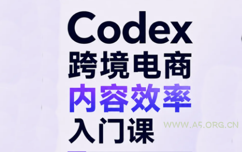 Codex跨境电商内容效率入门课-小红泡