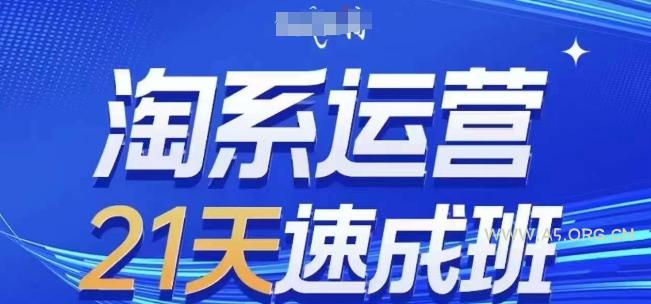 淘系运营21天速成班,0基础轻松搞定淘系运营,不做假把式,快速复制落地(更新26年9月)-小红泡